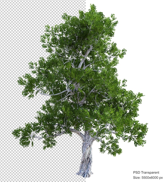 Fantastic tree isolated 3d render