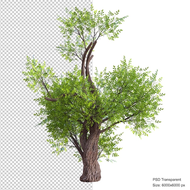 Fantastic tree isolated 3d render