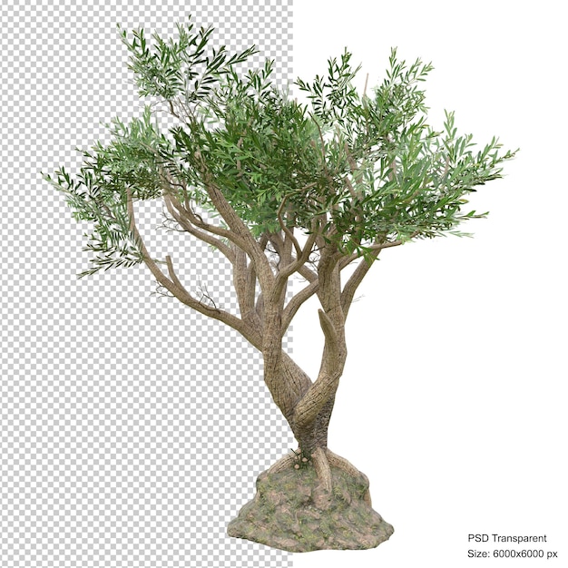 Fantastic tree isolated 3d render