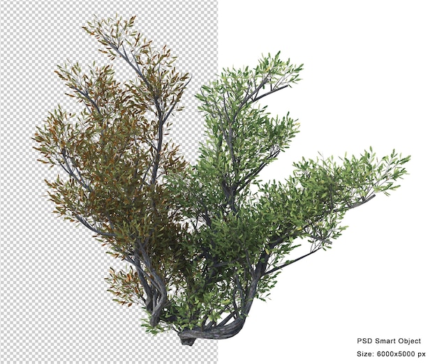 Fantastic tree isolated 3d render