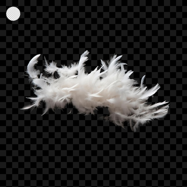 Feather isolated on transparent background PNG PSD