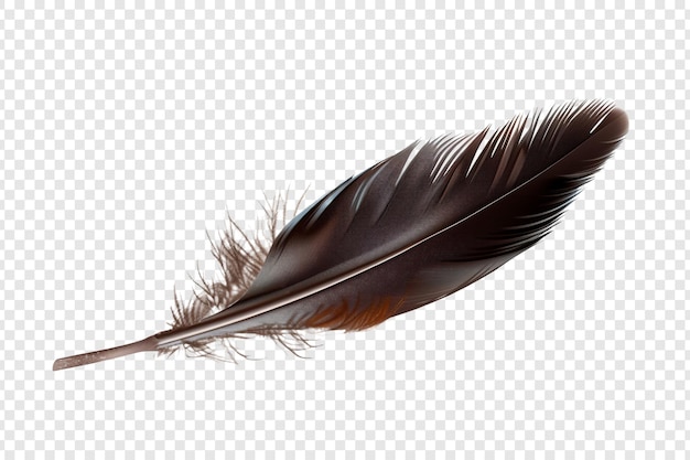 feather isolated on transparent background