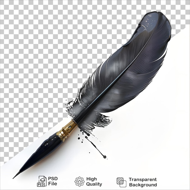 Feather and Pen Artwork on Transparent Background