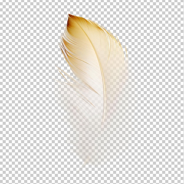 feather png