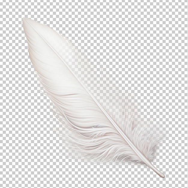 feather png