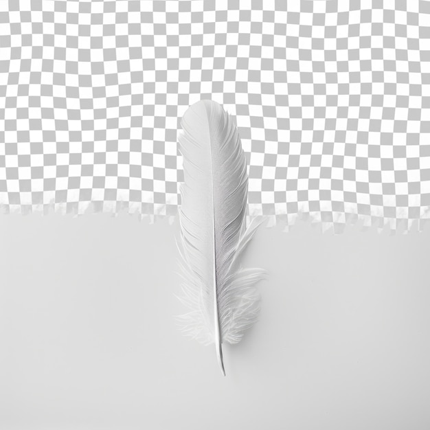 PSD a feather that has been turned to the left of the image