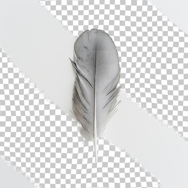 PSD a feather with a feather on it is shown on a checkered background