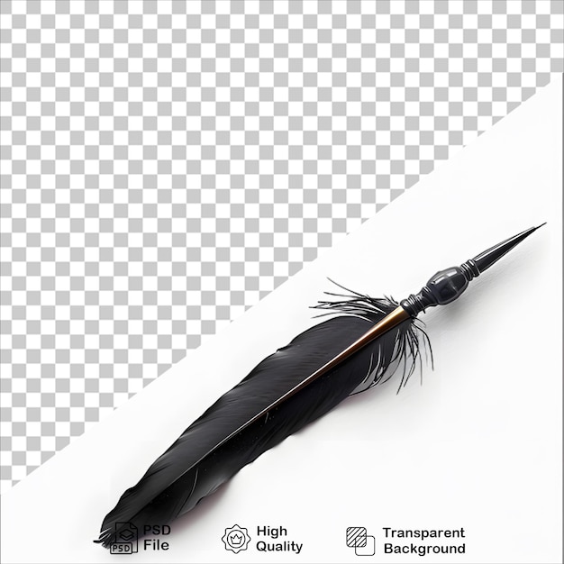 Feather and Writing Pen Isolated Image