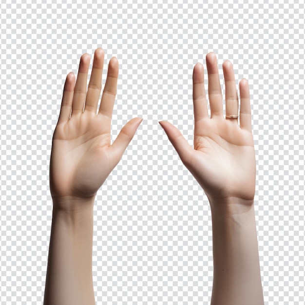 Female hand and fingers gestures on transparent background