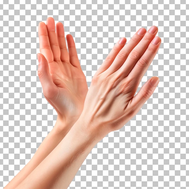 Female Hands Clapping or Applauding Isolated on Transparent Background