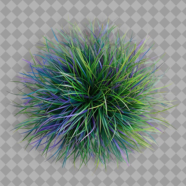 Fescue Forest Green Grass With Violet Branches and Cobalt Bl PNG Green Grass Texture Image