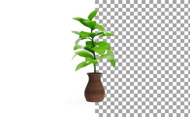 Fiddle Leaf plant without shadow 3d render