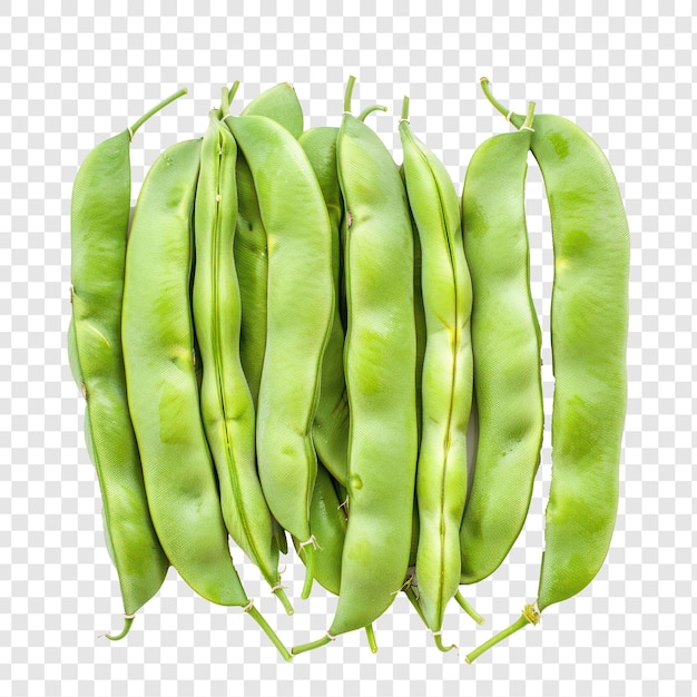 PSD field beans broad beans top view full length on transparency background psd