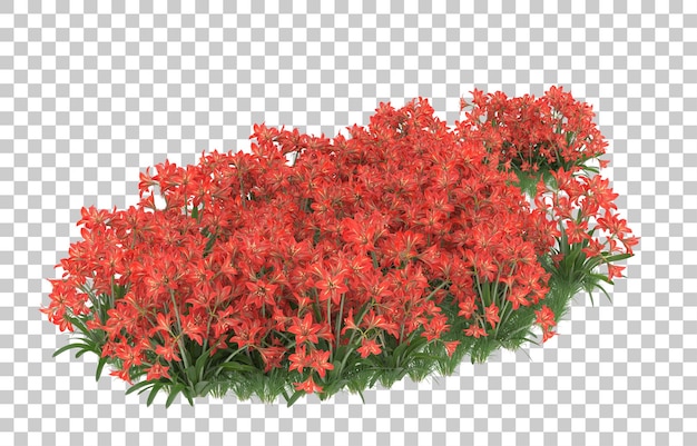 Field of flowers on transparent background. 3d rendering - illustration