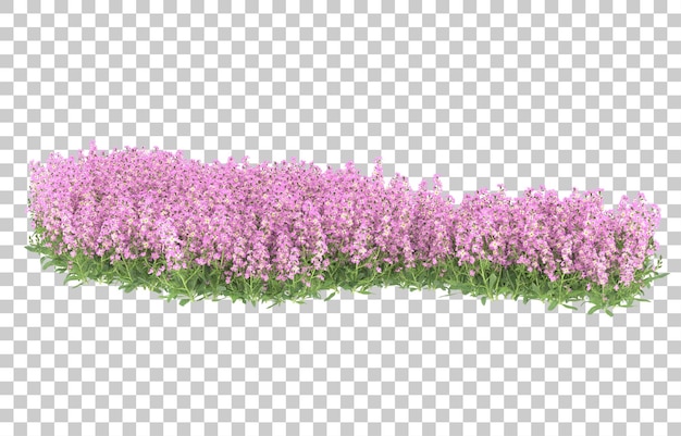 Field of flowers on transparent background. 3d rendering - illustration