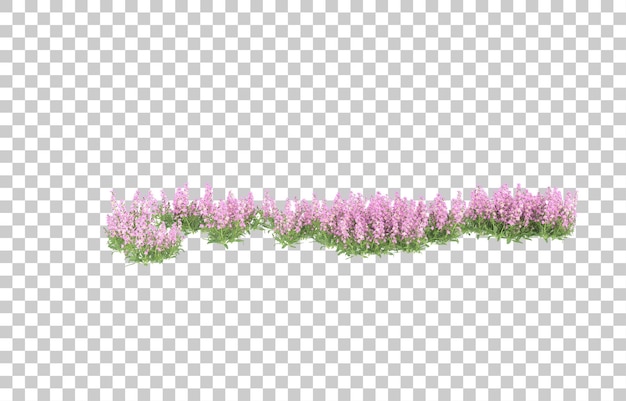 Field of flowers on transparent background. 3d rendering - illustration