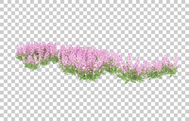 Field of flowers on transparent background. 3d rendering - illustration