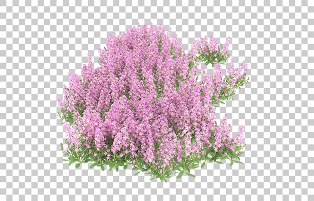 Field of flowers on transparent background. 3d rendering - illustration