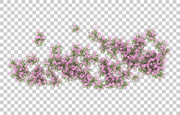 Field of flowers on transparent background. 3d rendering - illustration