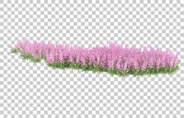 Field of flowers on transparent background. 3d rendering - illustration