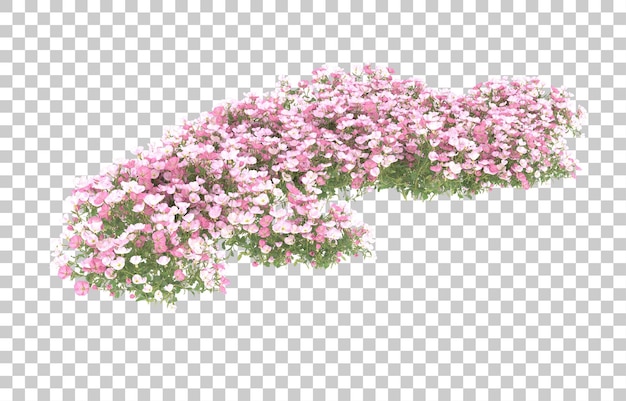 Field of flowers on transparent background. 3d rendering - illustration