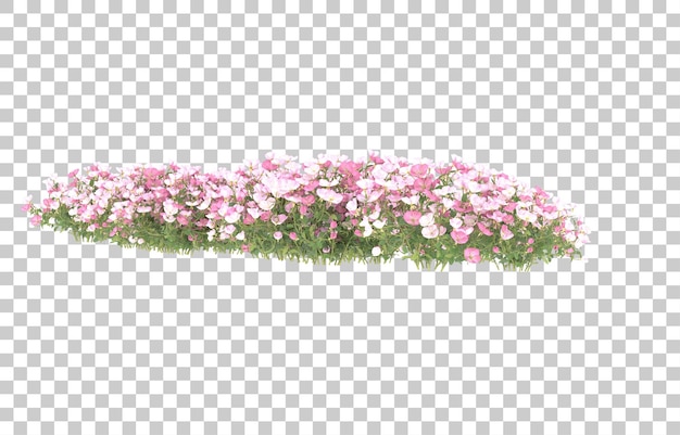 Field of flowers on transparent background. 3d rendering - illustration