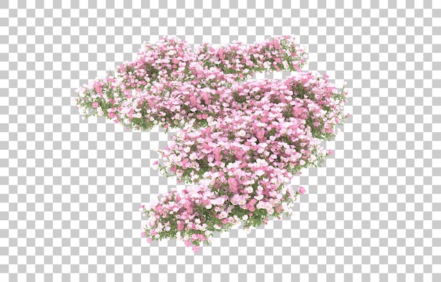 Field of flowers on transparent background. 3d rendering - illustration