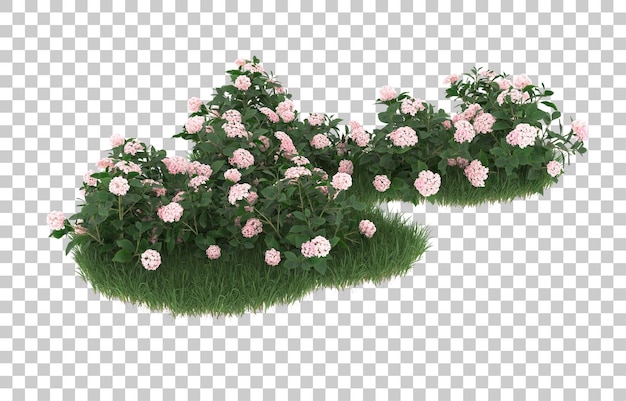 Field of flowers on transparent background. 3d rendering - illustration