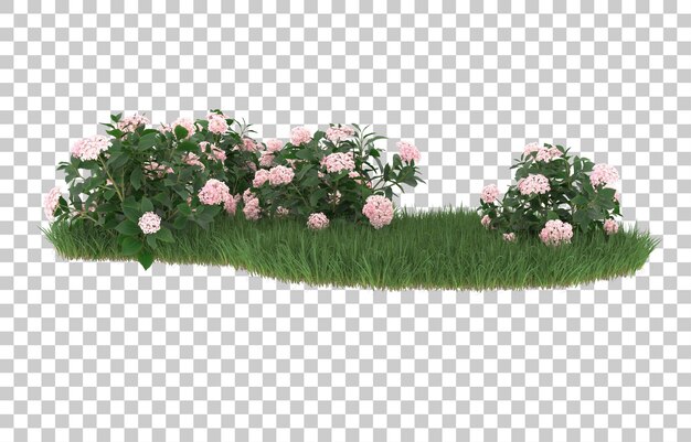 Field of flowers on transparent background. 3d rendering - illustration