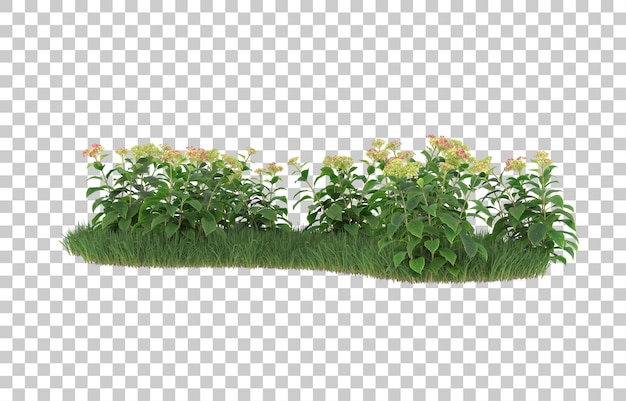 Field of flowers on transparent background. 3d rendering - illustration