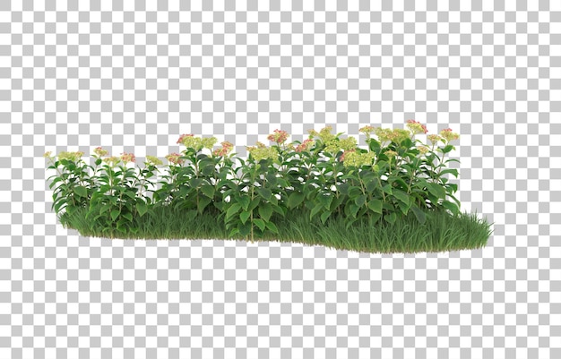 Field of flowers on transparent background. 3d rendering - illustration