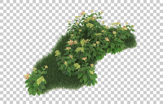 Field of flowers on transparent background. 3d rendering - illustration