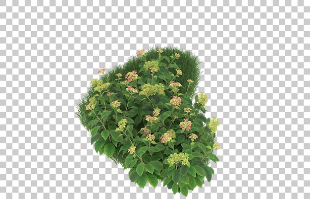 Field of flowers on transparent background. 3d rendering - illustration