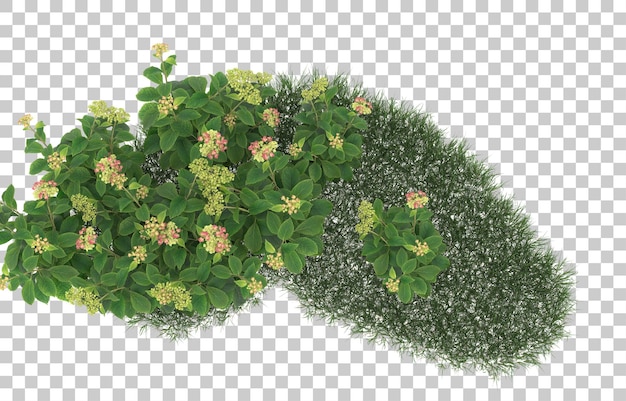 Field of flowers on transparent background. 3d rendering - illustration