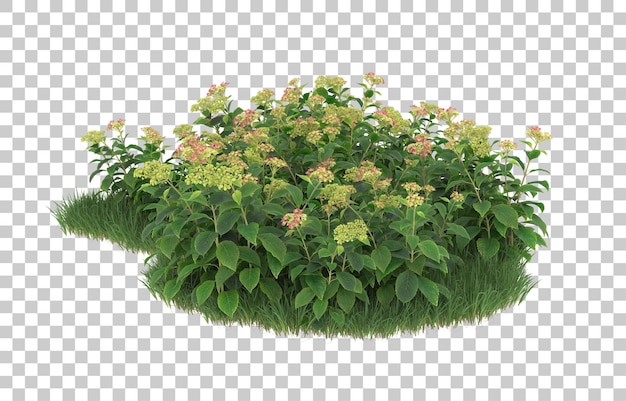 Field of flowers on transparent background. 3d rendering - illustration