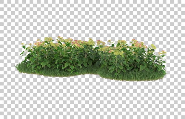 Field of flowers on transparent background. 3d rendering - illustration