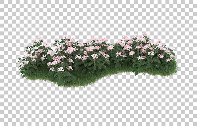 Field of flowers on transparent background. 3d rendering - illustration