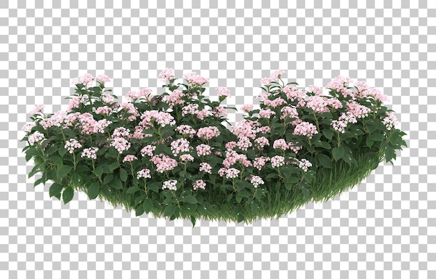 Field of flowers on transparent background. 3d rendering - illustration