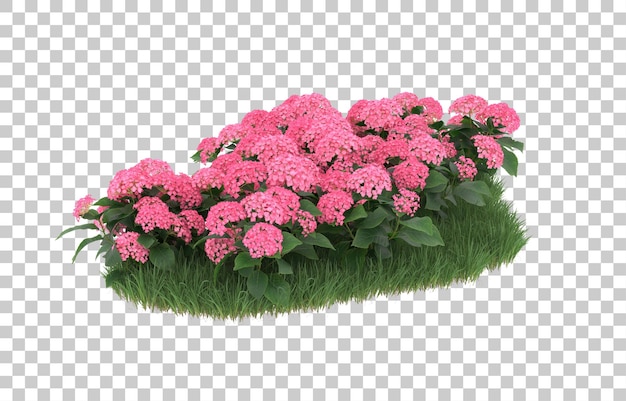 Field of flowers on transparent background. 3d rendering - illustration