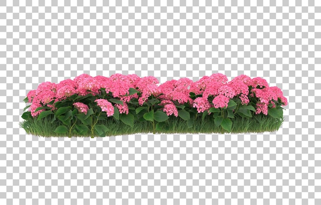 Field of flowers on transparent background. 3d rendering - illustration