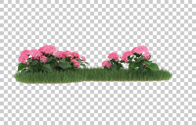 Field of flowers on transparent background. 3d rendering - illustration