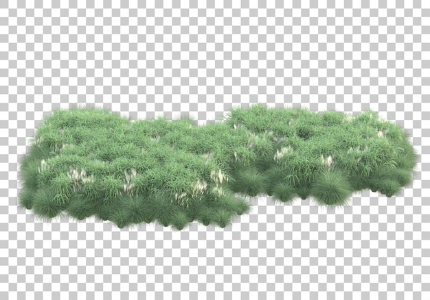 Field of grass on transparent background 3d rendering illustration