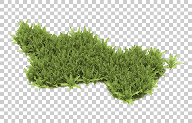 Field of grass on transparent background. 3d rendering - illustration