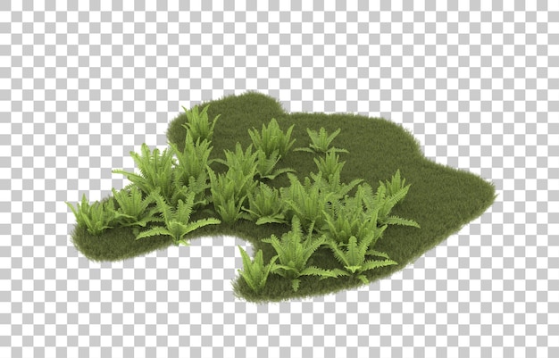 Field of grass on transparent background. 3d rendering - illustration