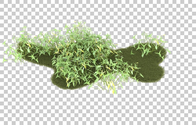 Field of grass on transparent background. 3d rendering - illustration