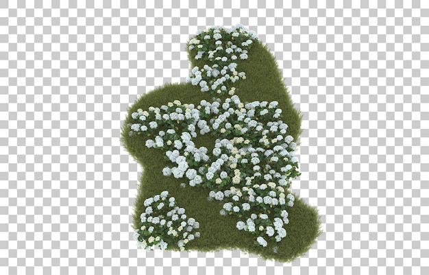 Field of grass with flowers on transparent background. 3d rendering - illustration