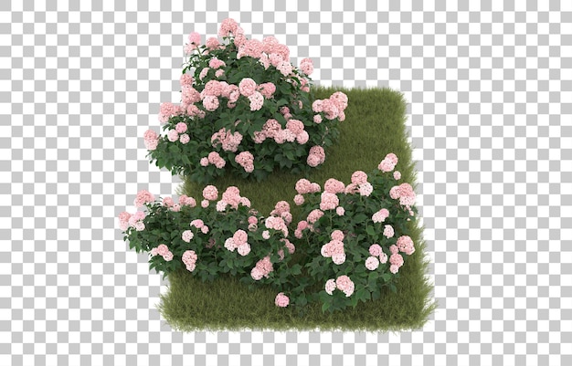 Field of grass with flowers on transparent background. 3d rendering - illustration