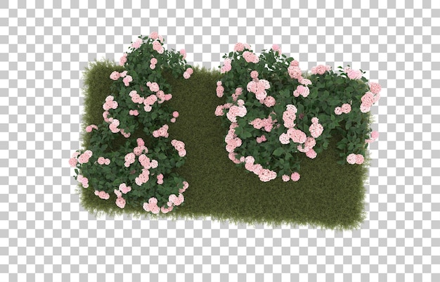 Field of grass with flowers on transparent background. 3d rendering - illustration