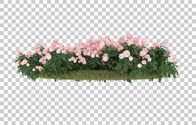 Field of grass with flowers on transparent background. 3d rendering - illustration