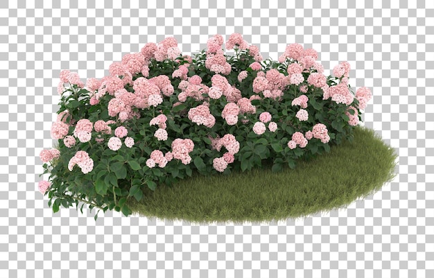 Field of grass with flowers on transparent background. 3d rendering - illustration